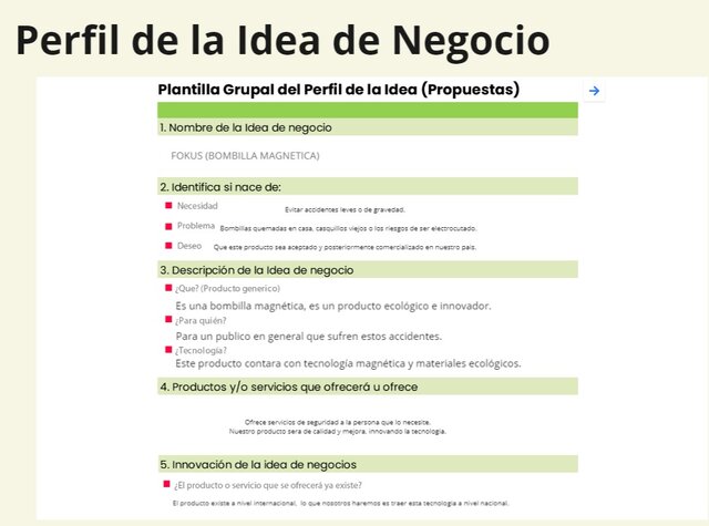 Perfil de Idea de Negocio