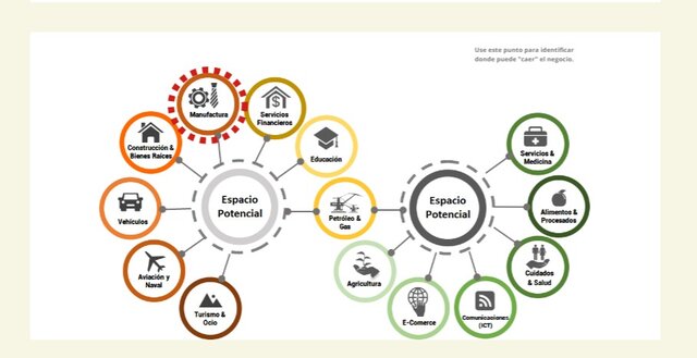 Perfil De Idea de Negocios