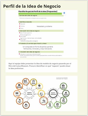 Perfil idea de negocio