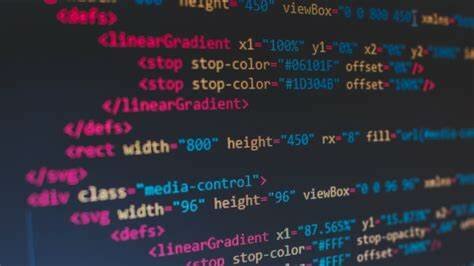 First Computer Programming Language