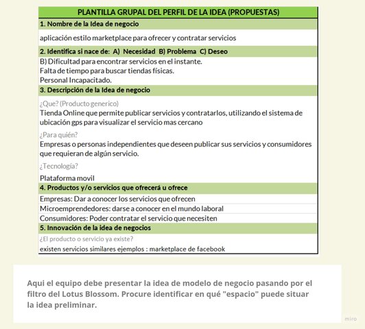 Perfil de la idea de negocio
