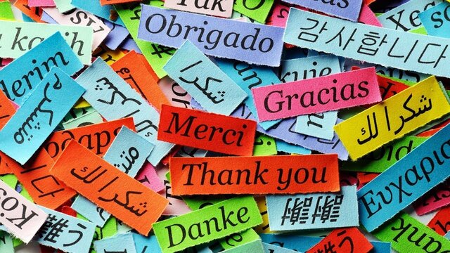 1960s Linguistics Evolution