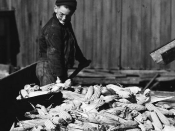 Increases in Productivity