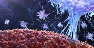 The “graying” of T cells