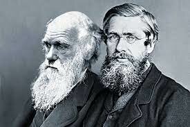 Charles Darwin & Herbert Spencer