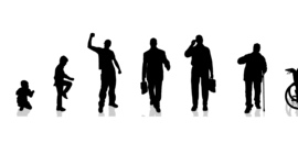Timeline: Az emberi egyedfejlődés (fejlődésneurológia és fejődéspszichológia vonatkozásban)