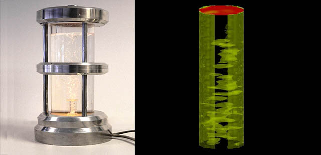 Biorreactor de columna