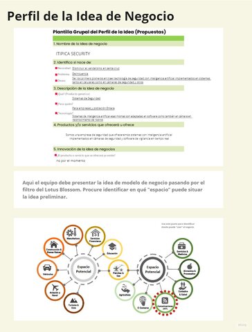 Perfil de la Idea de Negocio