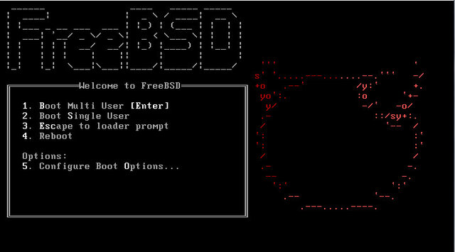 FreeBSD.