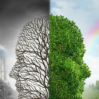 Timeline: Medio Ambiente: foco de atención mundial