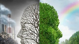 Timeline: Medio Ambiente: foco de atención mundial