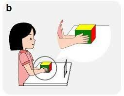 Movimientos bimanuales