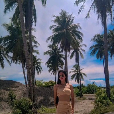 Timeline: My Media Timeline