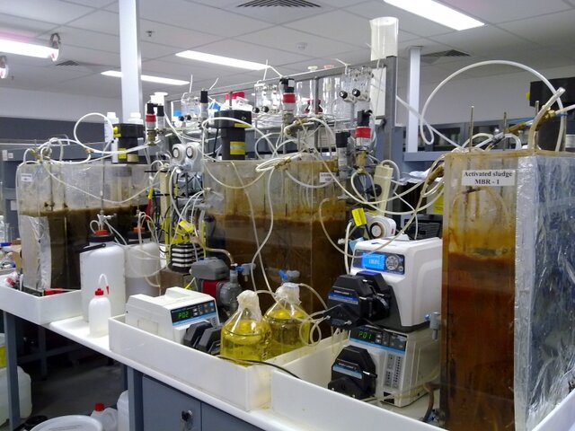 Escalamiento laboratorio a industrial en vacunas y anticuerpos