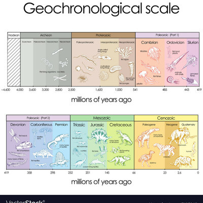 Timeline: Geokronoloogiline skaala Ants A