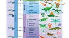 Timeline: Geokronoloogiline Skaala Uku A