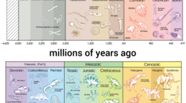 Timeline: Geokronoloogiline skaala Richard A