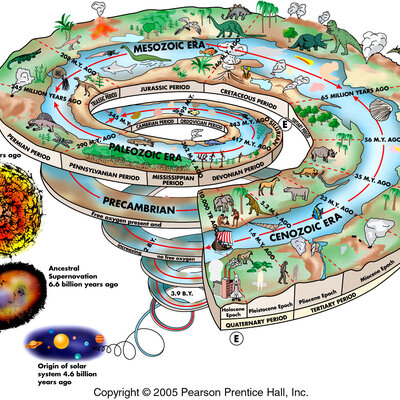 Timeline: Geokronoloogiline skaala Hannalore A