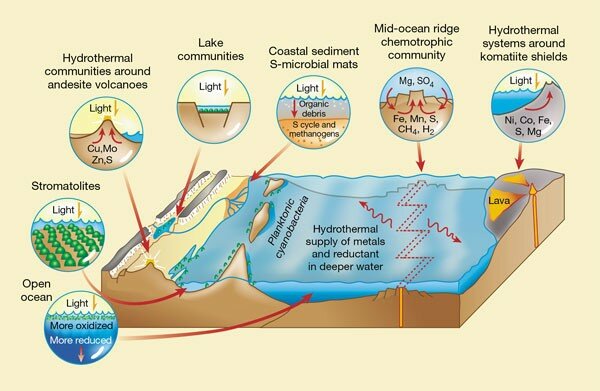Arhaikum ehk ürgeoon