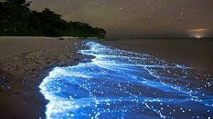 sea of stars first vacation age 47