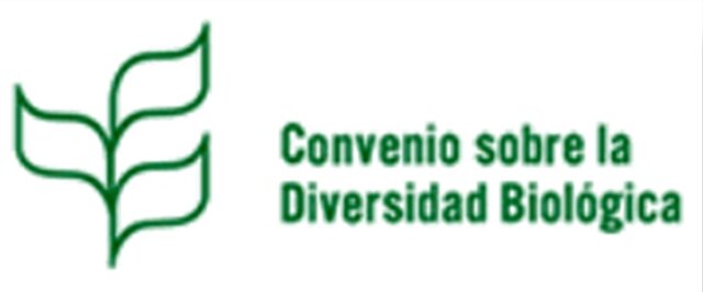 Marco Legal Internacional: CDB