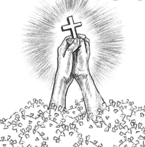 Stopped the study of medicine, why?