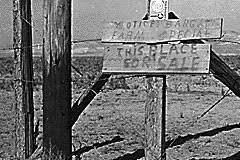 Surplus and Plummeting Prices