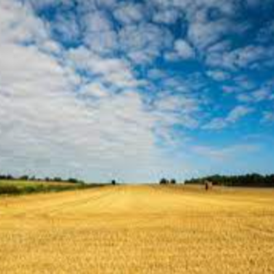 Timeline: History of Agriculture