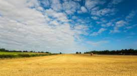 Timeline: History of Agriculture