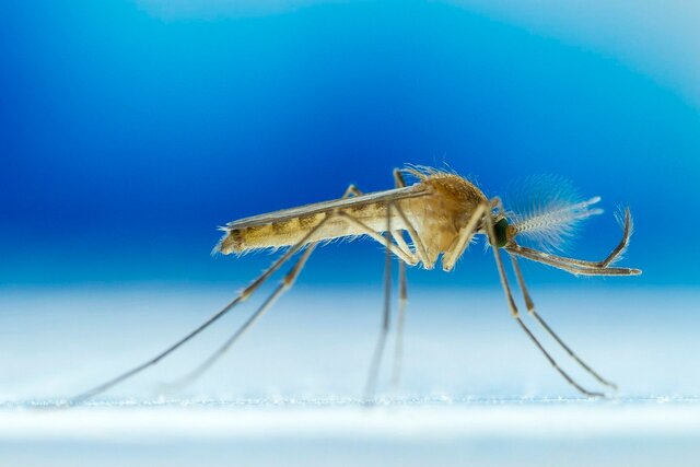 "Scientific Discoveries Reducing the Spread of Diseases"