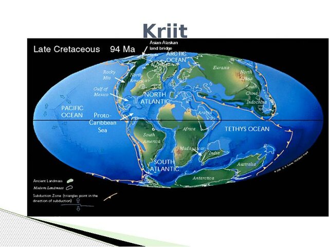 Kriit