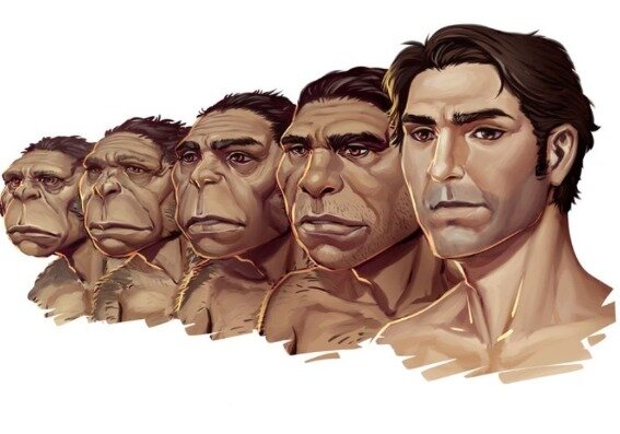 Teoría de la evolución de Charles Darwin