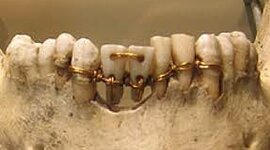 Timeline: Linea de Tiempo de Odontología