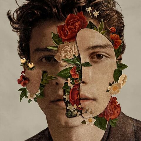 Shawn Mendes Shawn Mendes