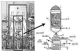 Primer fermentador a gran escala
