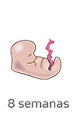 Semana 8