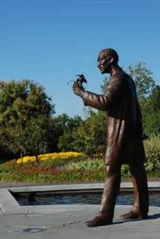 Received a Bachelor's Degree