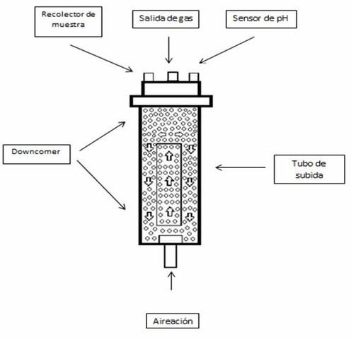 Biorreactor de columna patentado por la IRD