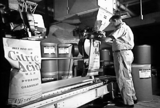 Producción Comercial de Ácido Cítrico