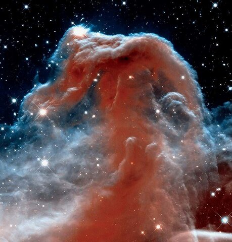 Williamina Fleming identificó la nebulosa Cabeza de Caballo.