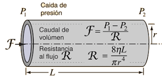 G. G. Stokes y L.M. Poiseuille