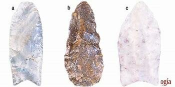 Cenolítico inferior