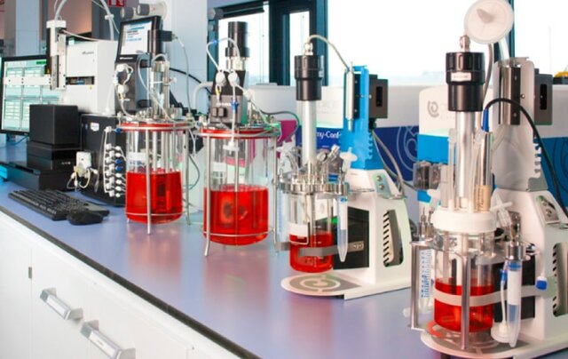 Biorreactor agitado de bajo costo para estudios de digestión anaeróbica a escala de laboratorio