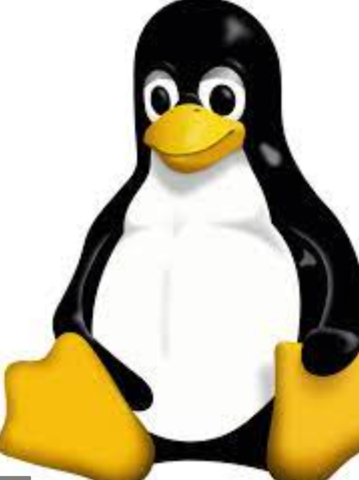 Linux
