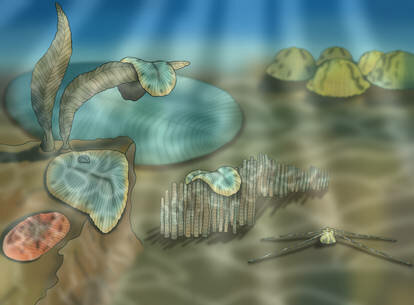 Proterosoikum ehk agueoon (2500-542 mln eKr)