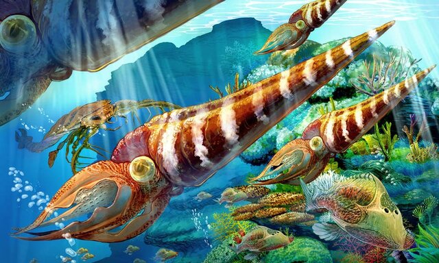 Ordoviitsium (485-443 mln eKr)