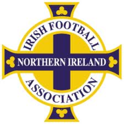 Irish FA formed