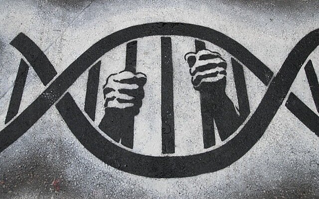 Bogotá-Colombia  1999