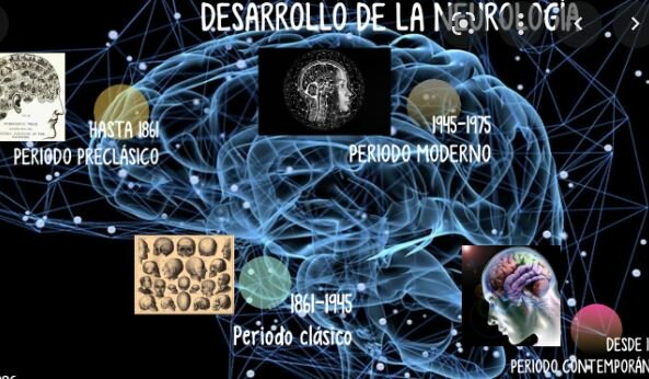 La neurología de la empatía 1