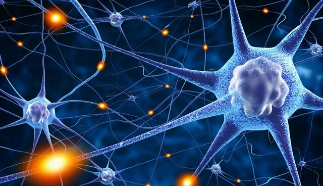 La neurología de la empatía 2